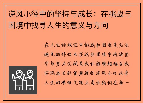 逆风小径中的坚持与成长：在挑战与困境中找寻人生的意义与方向